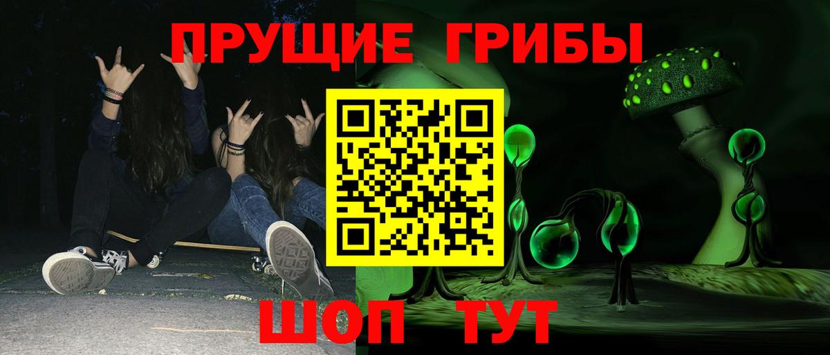 Псилоцибиновые грибы Psilocybe  Вход с VPN  цена наркотик  Шадринск 